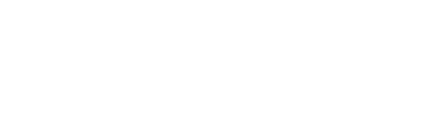 Avatec Bridge